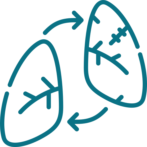 Lungs Icon